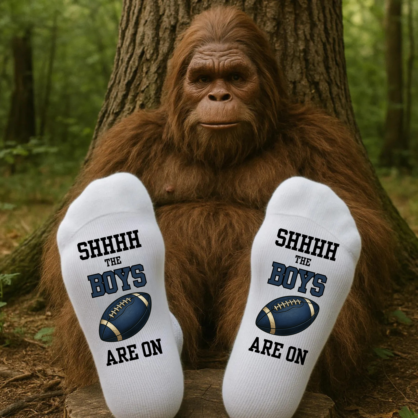 Football Fan Socks – “SHHHH, The Boys Are On Are On”