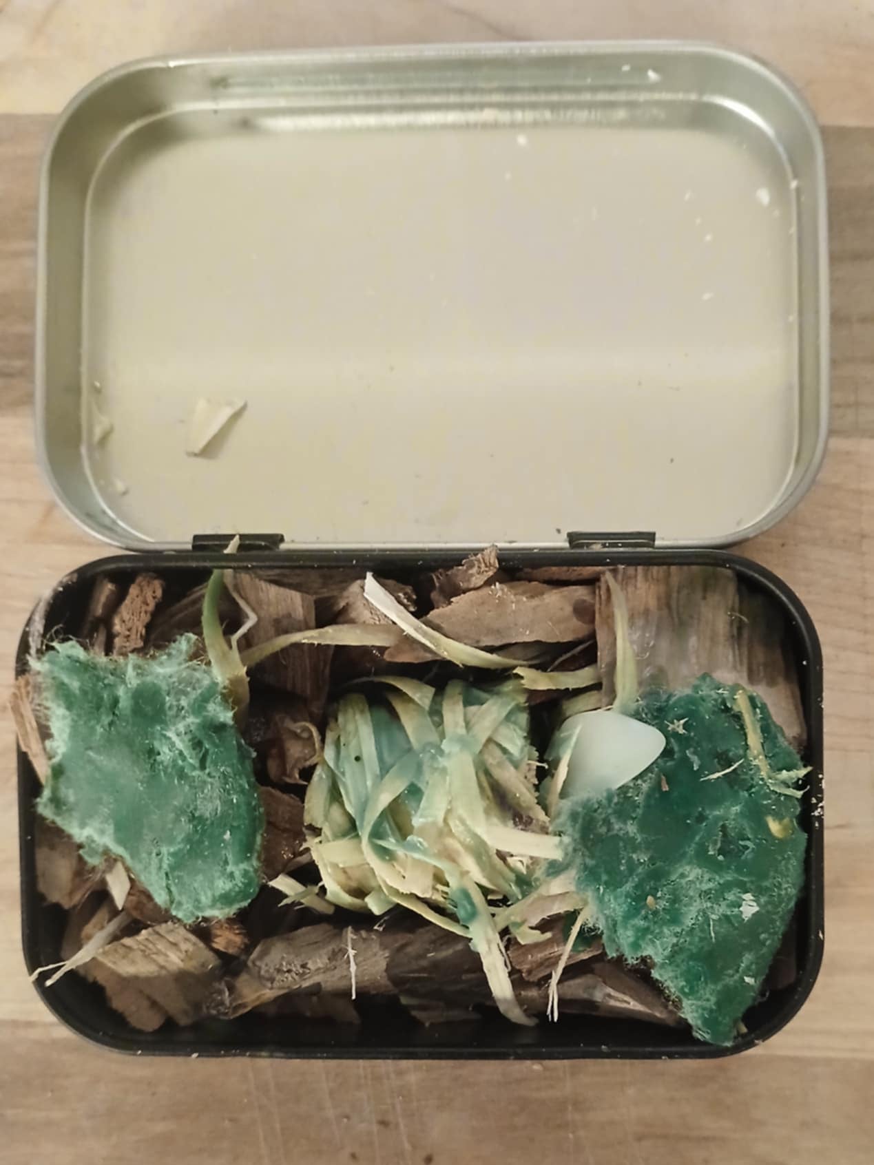 All-in-One Cooking Candle – Bug Repelling Survival Flame